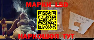 гашик Кандалакша