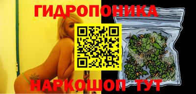 гашик Кандалакша
