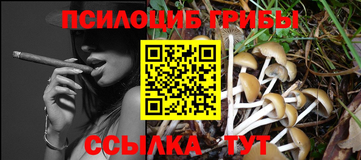 Кунгур  где продают наркотики  Вход с VPN  Псилоцибиновые грибы Psilocybe 