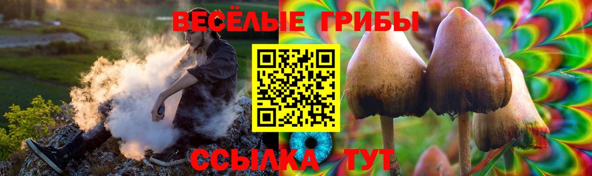 Псилоцибиновые грибы мицелий Кунгур