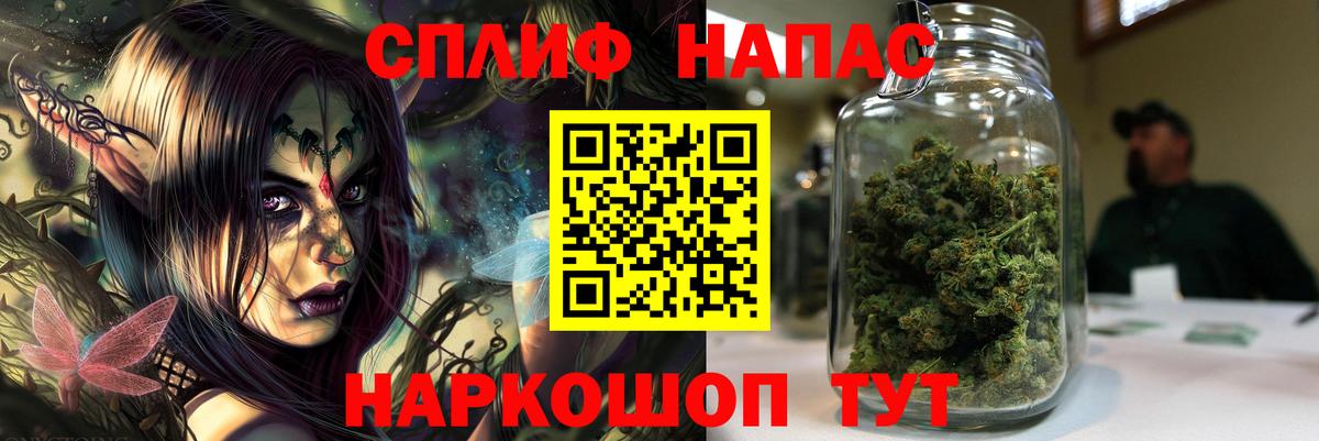 Кунгур  Марихуана планчик  Конопля сатива  Вход с VPN 